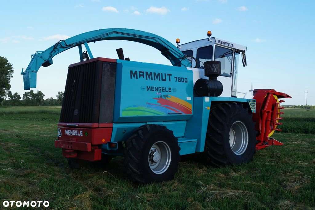 Sieczkarnia Mengele Mammut 7800 Klima Kemper 4x4