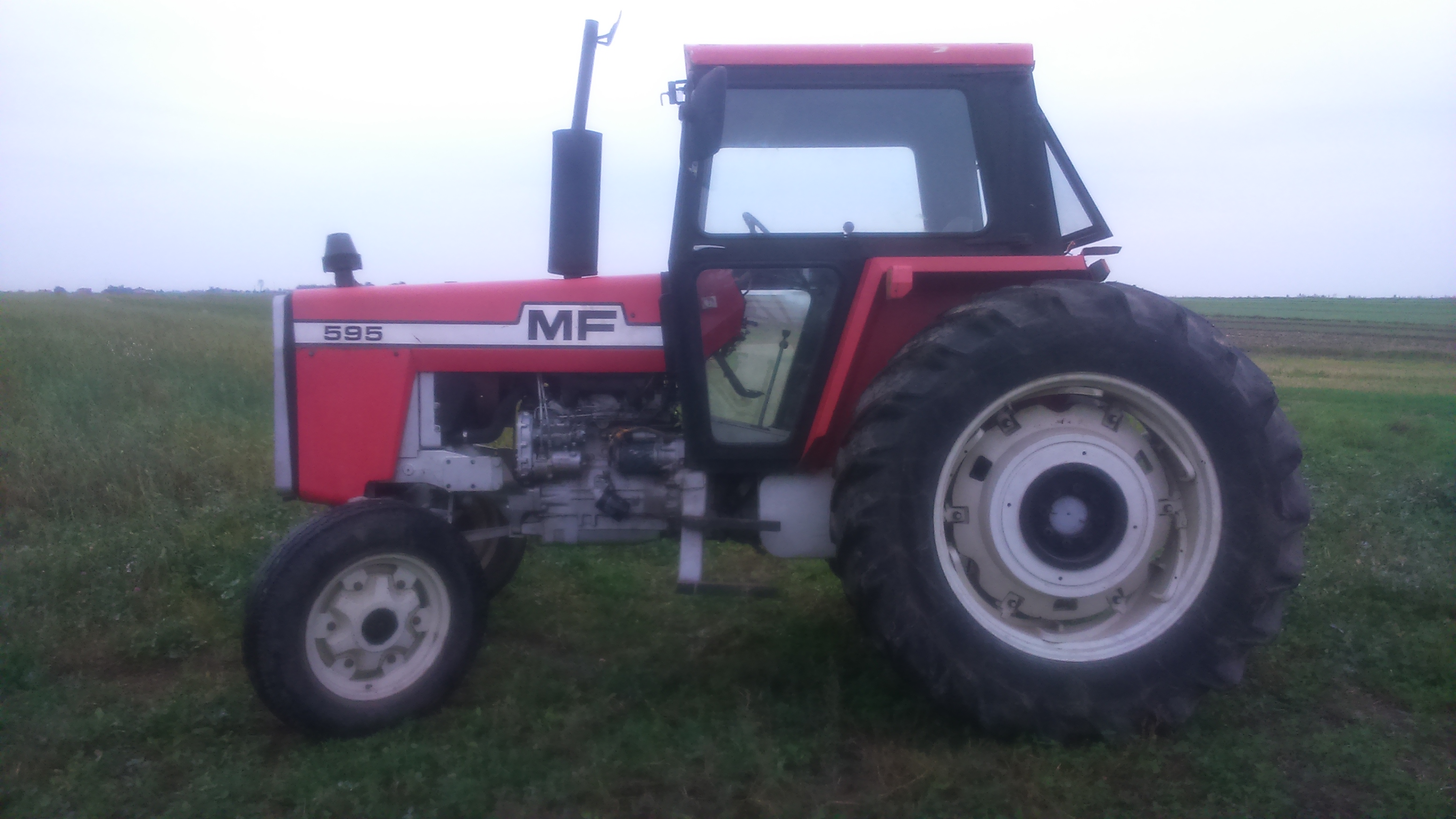 TANIO MF 595