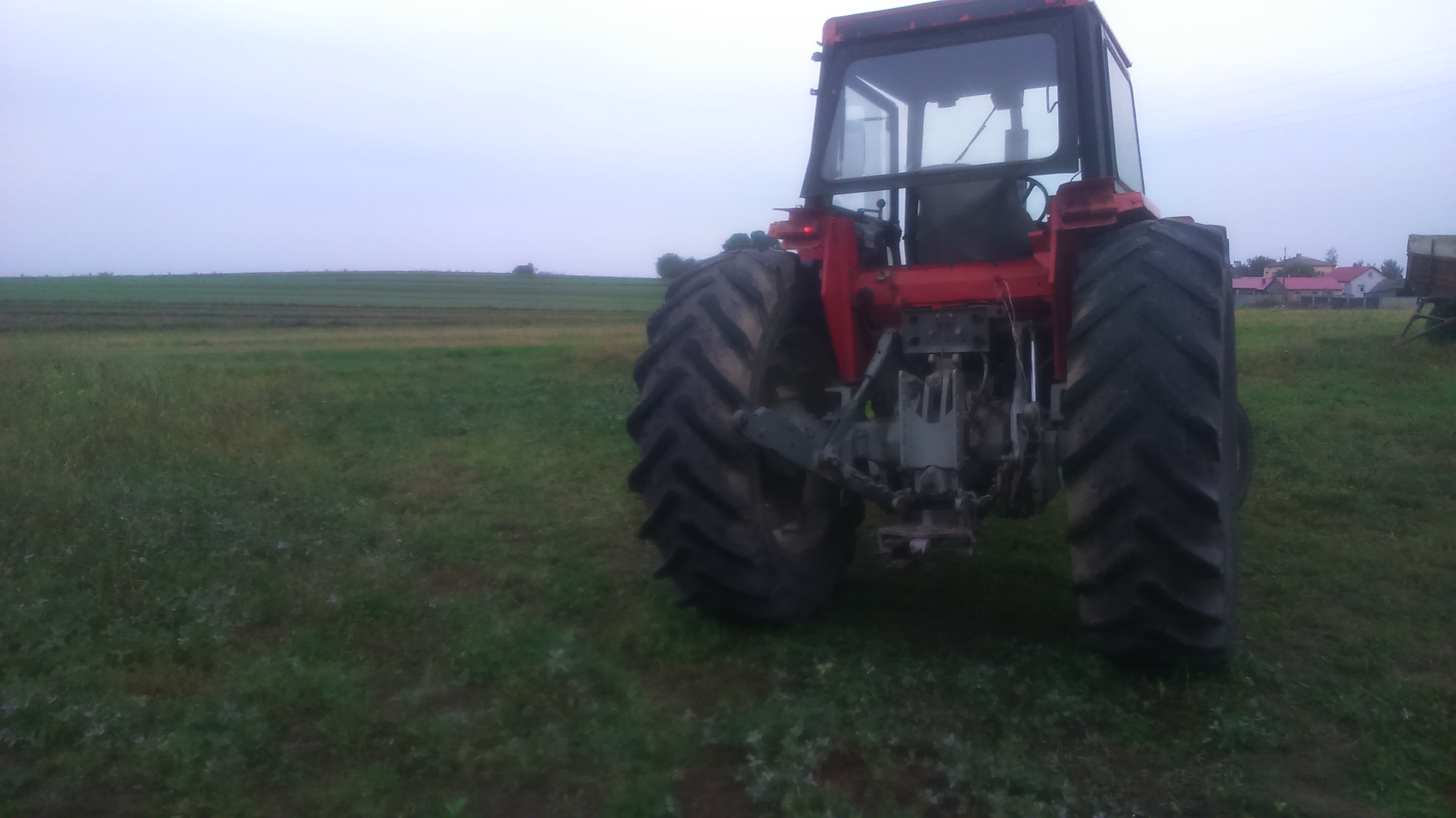 TANIO MF 595