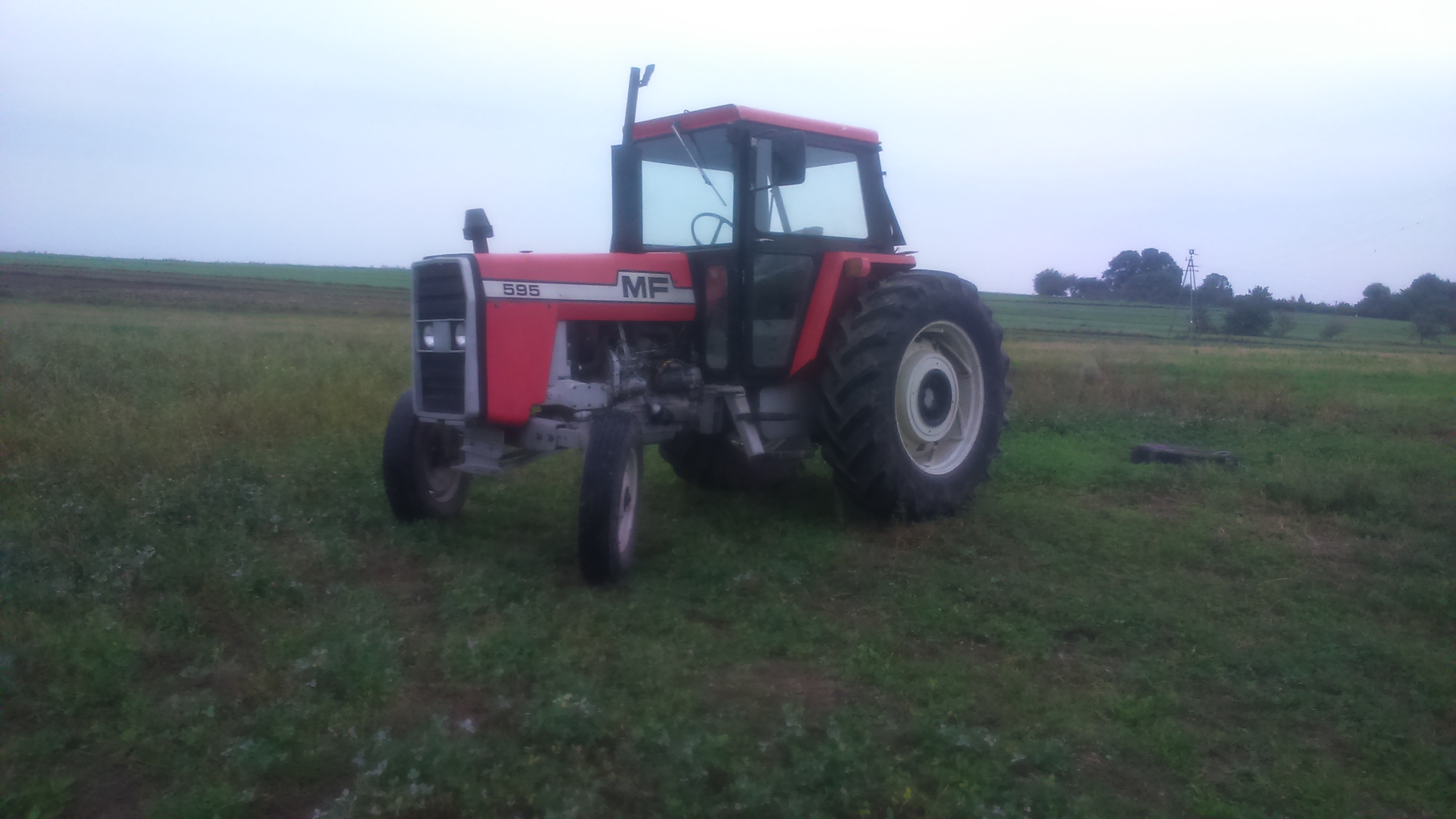 TANIO MF 595