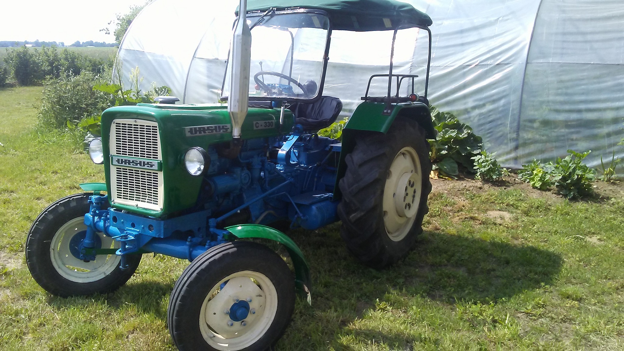 Ciągnik Ursus C-330 z kabiną ! / Po remoncie kapitalnym!